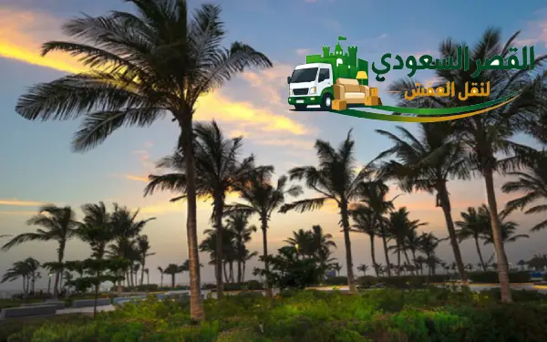 نقل عفش حي النخيل جدة